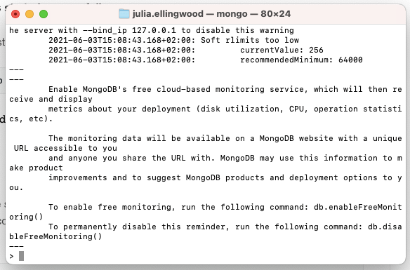 MongoDB shell connected